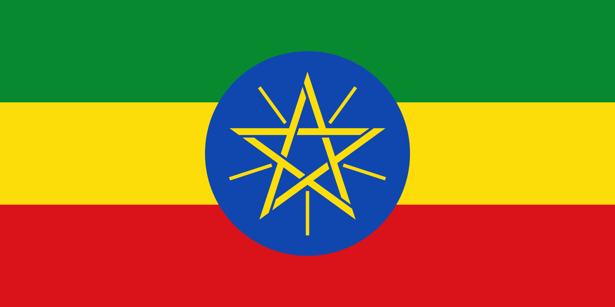 03. Government of Ethiopia