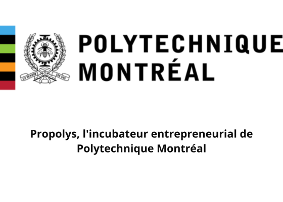 12.POLYTECHNIQUE 12.POLYTECHNIQUE